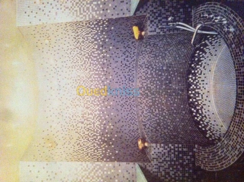 Mosaïque professionnel