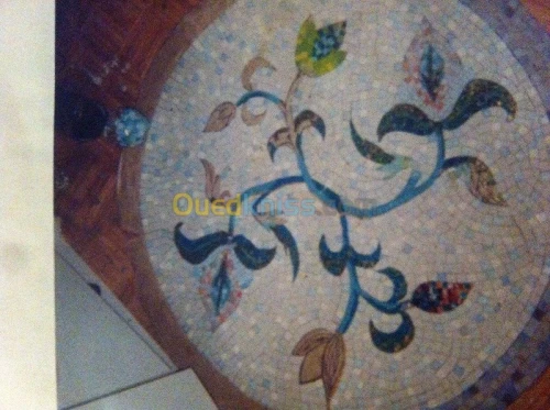 Mosaïque professionnel