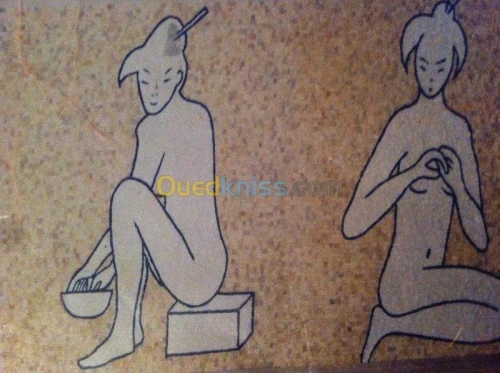 Mosaïque professionnel