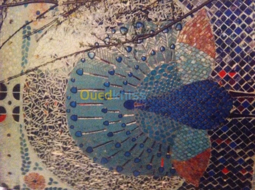 Mosaïque professionnel