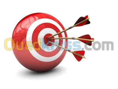 Compagne Mailing Professionnel