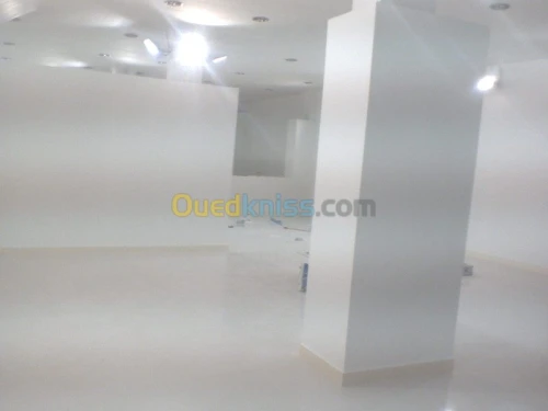 Fourniture et pose de placo plâtre