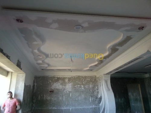 Platrier professionnel  décoration et 
