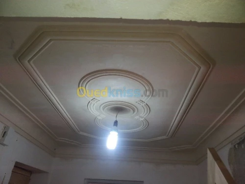 Platrier professionnel  décoration et 