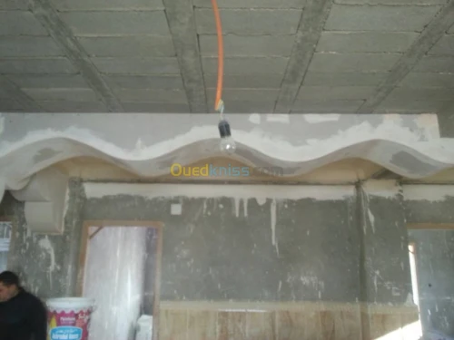 Platrier professionnel  décoration et 
