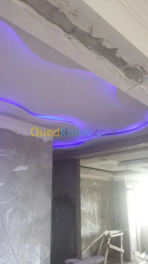 Platrier professionnel  décoration et 