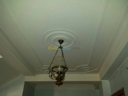 Platrier professionnel  décoration et 