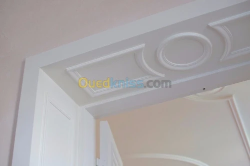 Platrier professionnel  décoration et 
