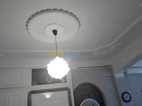 Platrier professionnel  décoration et 