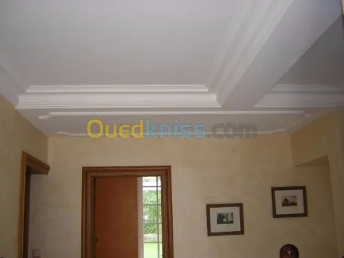 Platrier professionnel  décoration et 