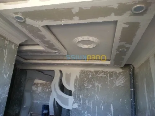 Platrier professionnel  décoration et 