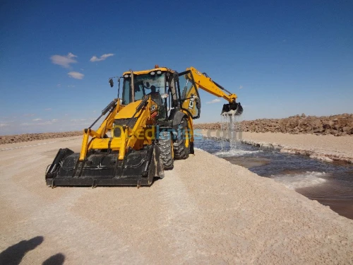commerce de gros de sel brut 