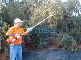 Récolteuse d'olive Stihl