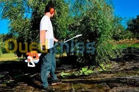 Récolteuse d'olive Stihl