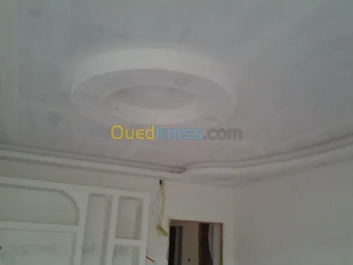 placoplatre(BA13), peinture décorative
