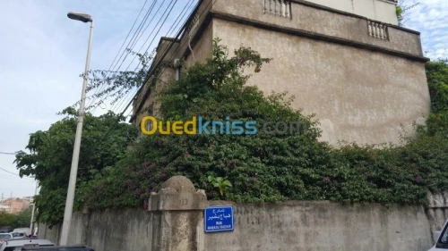 Vente Villa Alger El mouradia