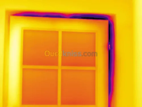 Camera thermique Algerie