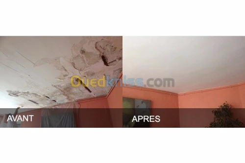 pienture batiment