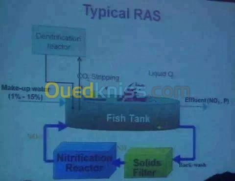 Supply and installation Geomembrane 