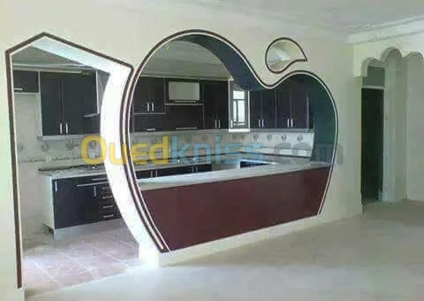 PlacoPlatre Ba13 PVC