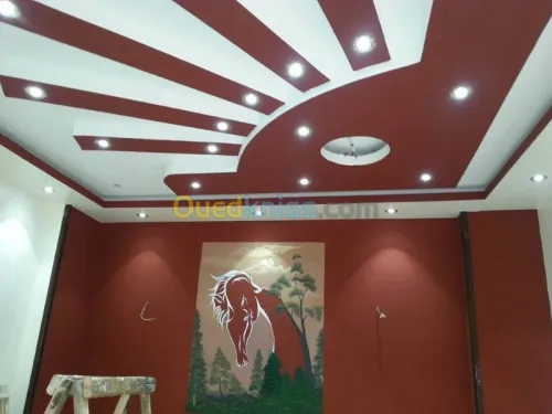 placoplatre ba13 décoration 