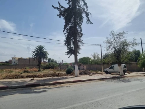 Vente Terrain Chlef Oued fodda
