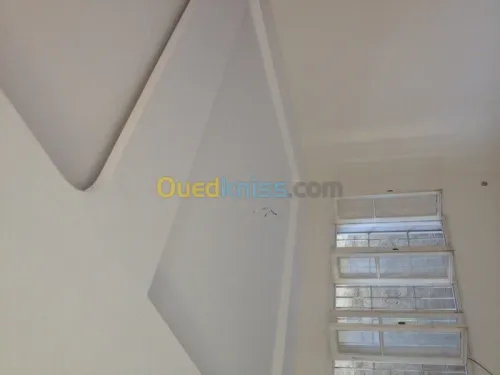 placo platre ba/13rn