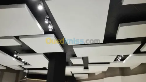 placo platre ba/13rn