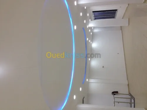 placo platre ba/13rn