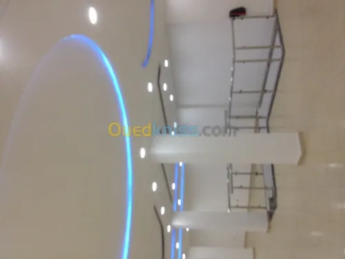 placo platre ba/13rn