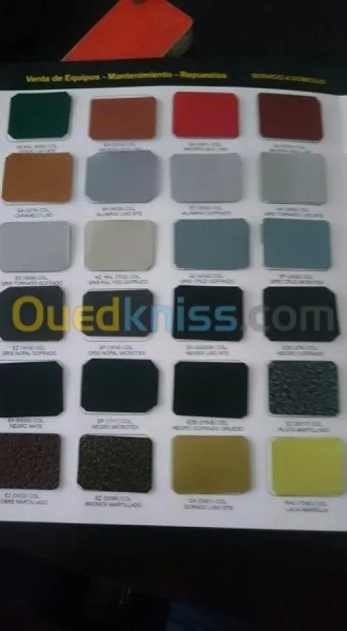 Vente peinture epoxy poudr et pistolet