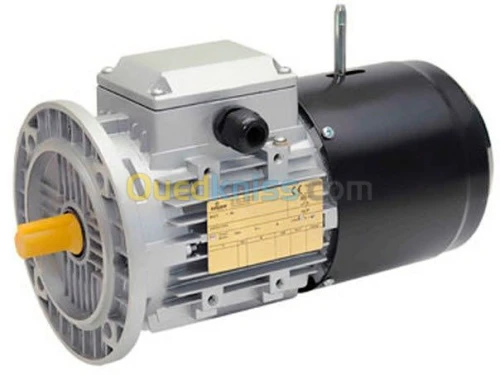 Moteurs electriques à frein 