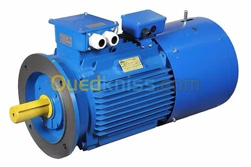 Moteurs electriques à frein 