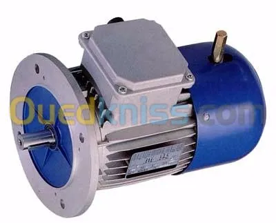 Moteurs electriques à frein 