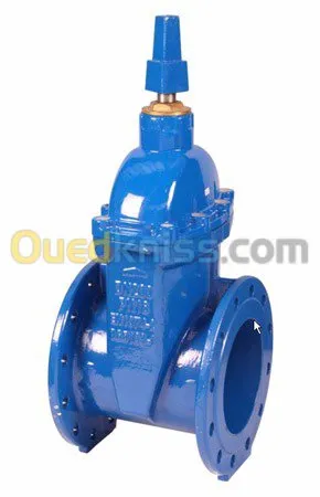 TUYAUX & RACCORDS FONTE DUCTILE 