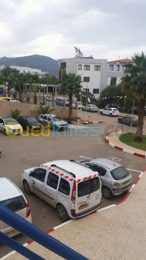 Barrière et portails motorisés.