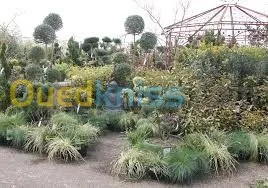 gazon-nettoyage-dézherbage-decoration 