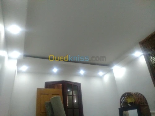 travaux placo platre BA13