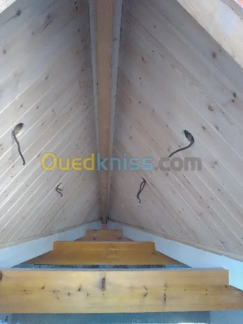 travaux placo platre BA13