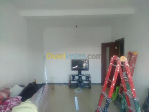 travaux placo platre BA13