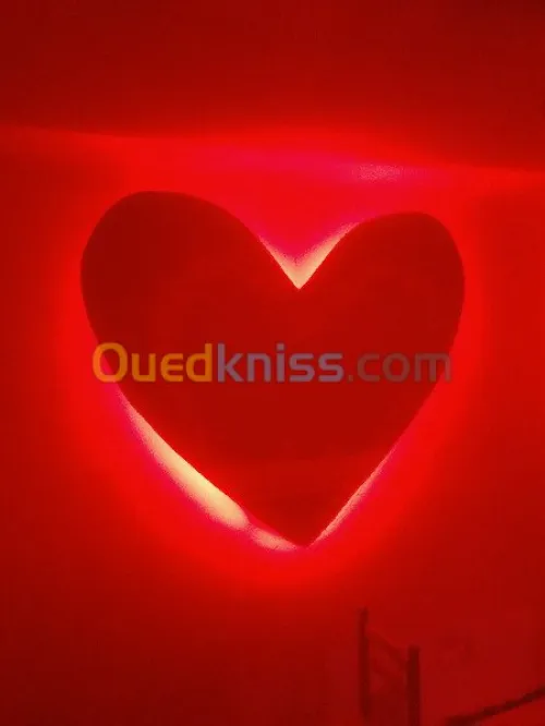 travaux placo platre BA13