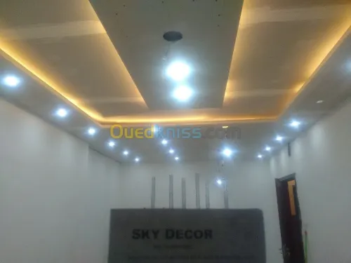 travaux placo platre BA13