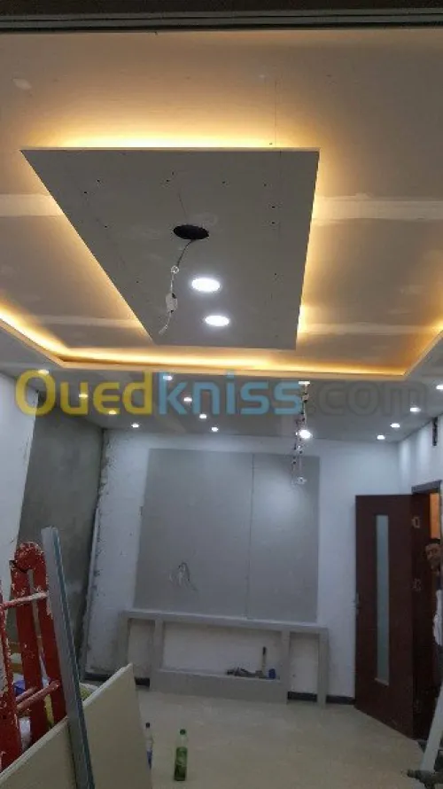 travaux placo platre BA13