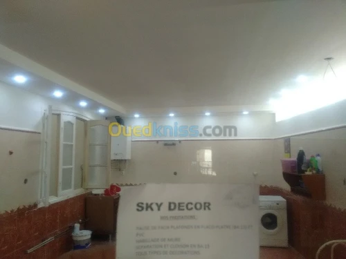 travaux placo platre BA13