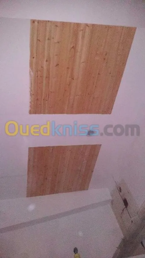 travaux placo platre BA13