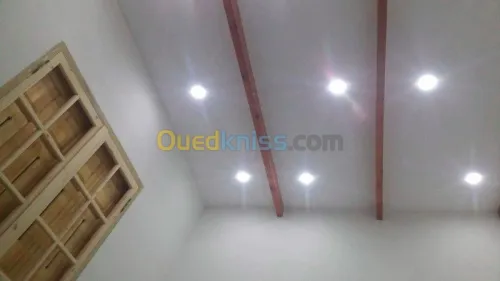 travaux placo platre BA13