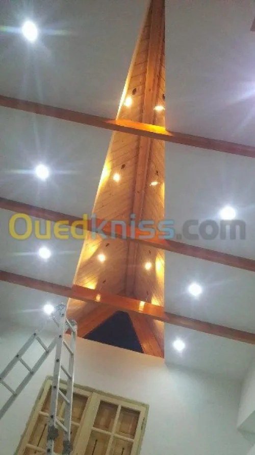 travaux placo platre BA13