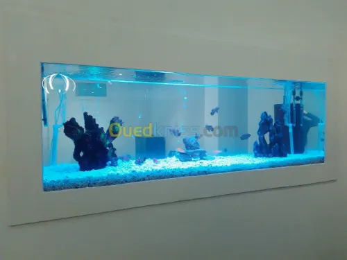 travaux placo platre BA13