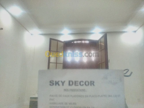 travaux placo platre BA13