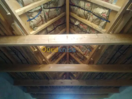 travaux placo platre BA13